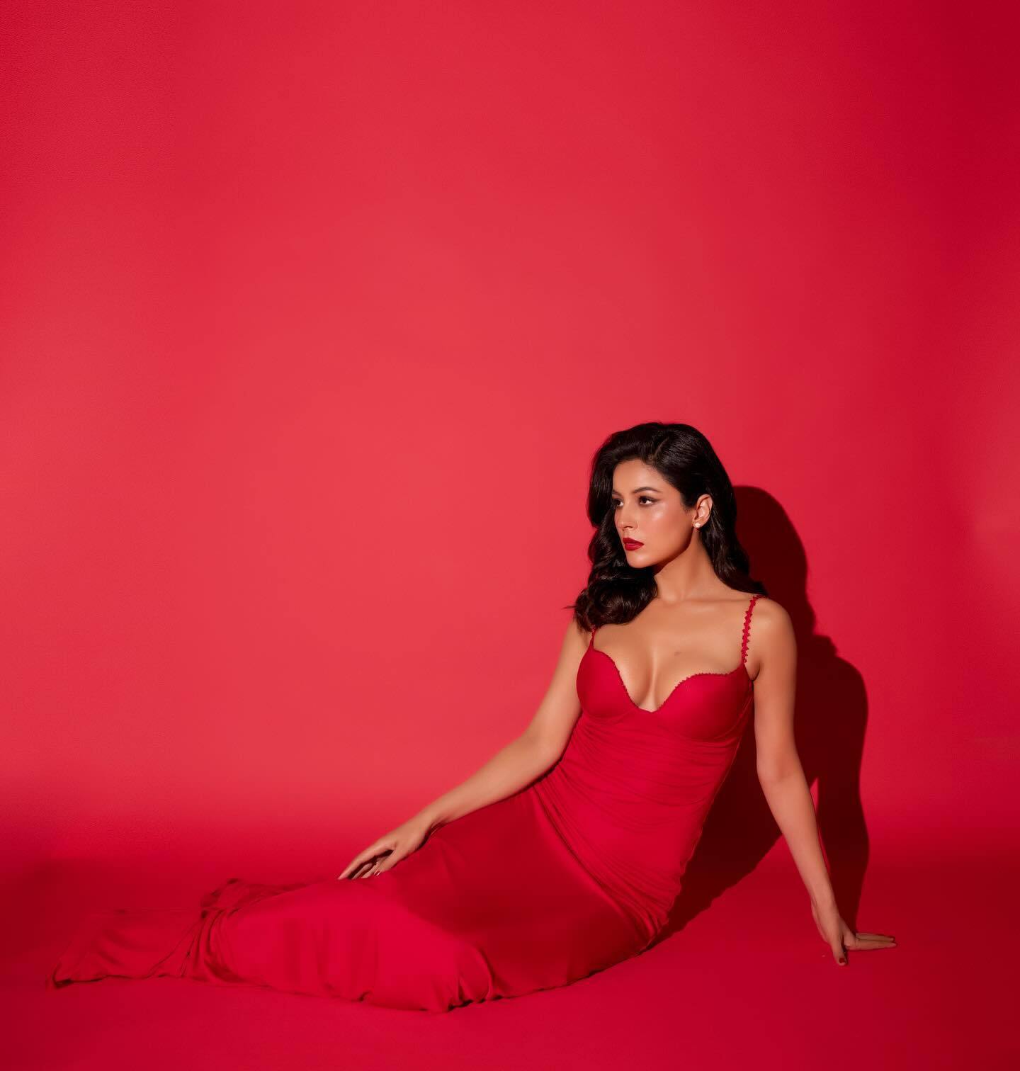 Scarlet Sophistication: Shehnaaz Kaur Gill's Timeless Style