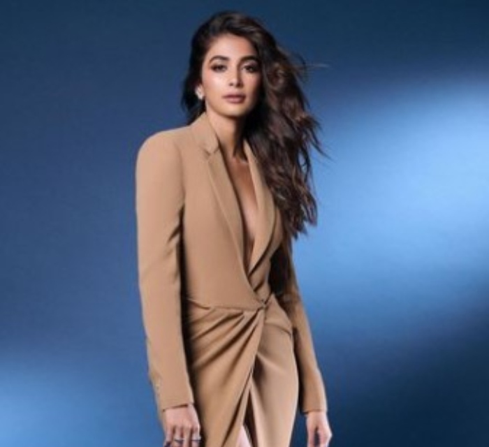 What Happened To Pooja Hegde's Acting Career?