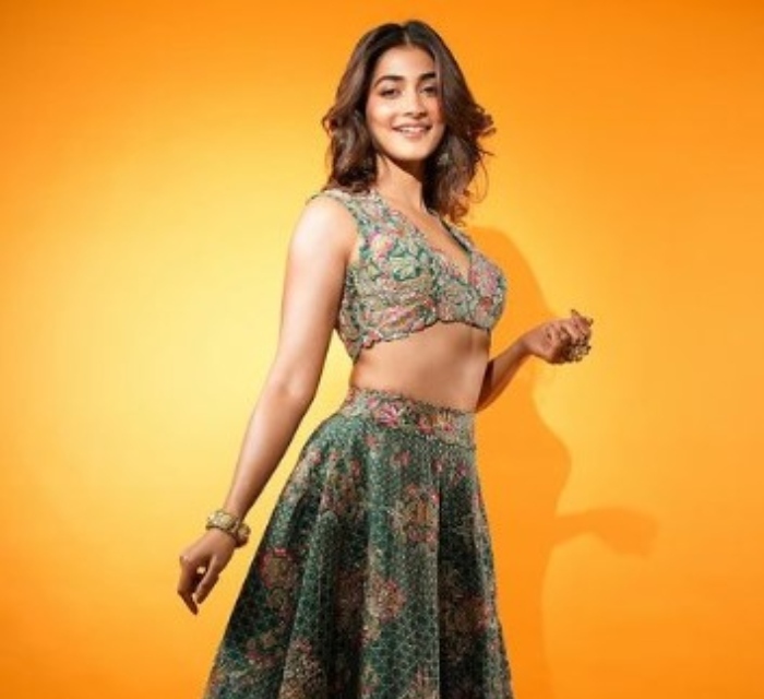 What Happened To Pooja Hegde's Acting Career?