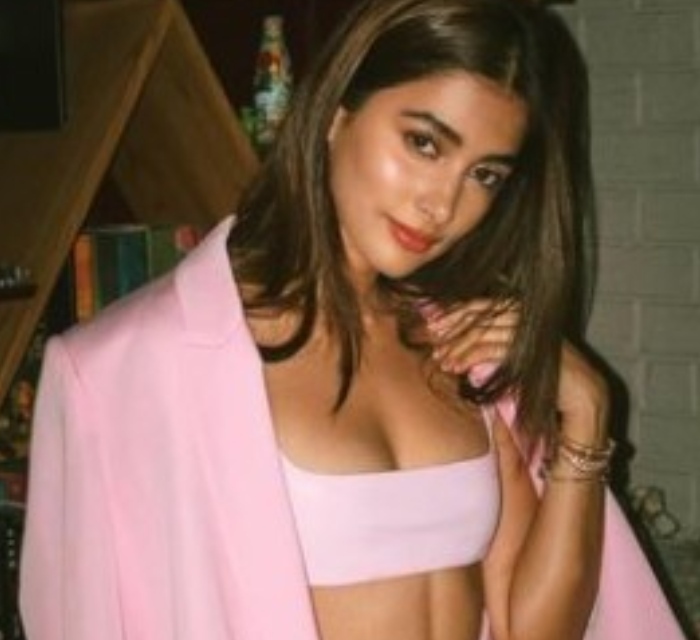 What Happened To Pooja Hegde's Acting Career?