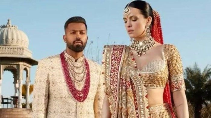 पिछले कुछ वक्त से हार्दिक पंड्या और नताशा स्टेनकोविक के तलाक की खबरें सामने आ रही है