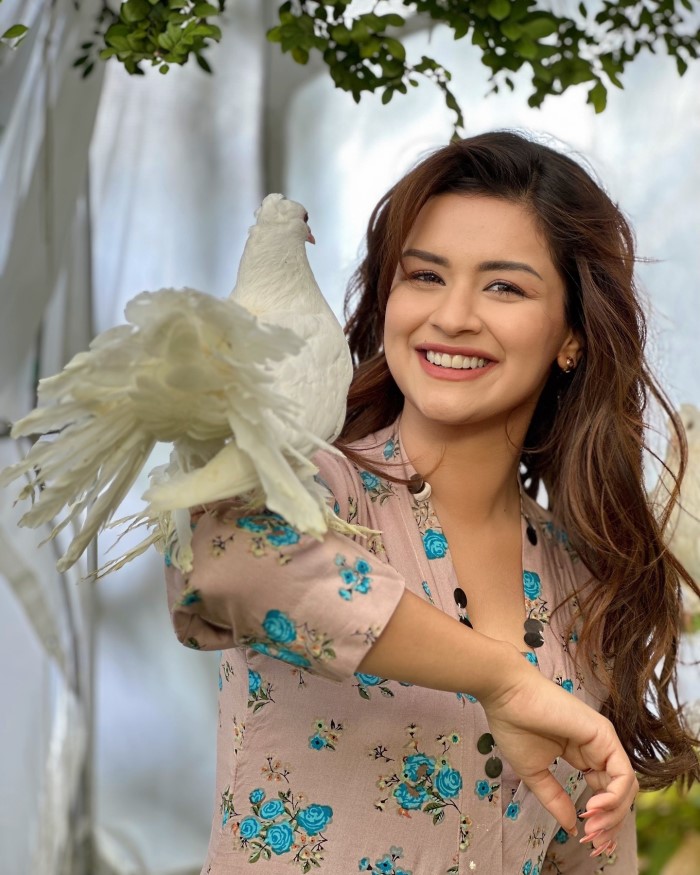 अवनीत कौर आज के वक्त में इंटरनेट की सेंसेशन बन चुकी है