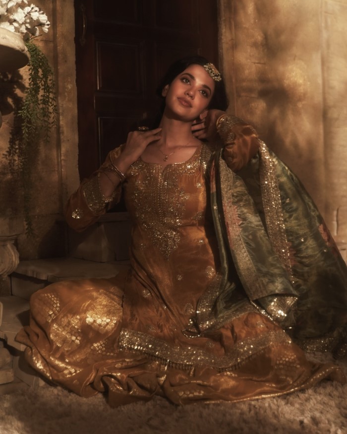 संजय लीला भंसाली की मशहूर हुई वेब सीरीज 'हीरामंडी' ने दर्शकों के दिलों पर राज किया