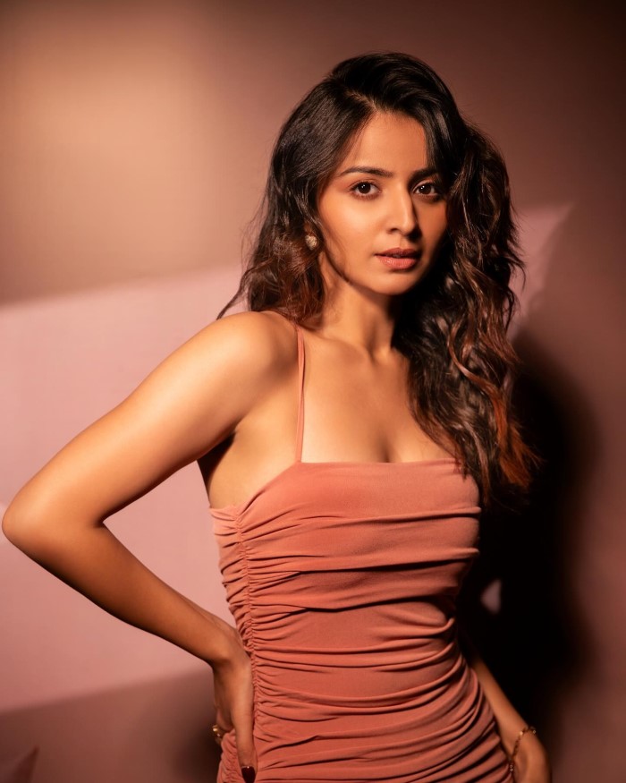 महिमा मकवाना टीवी इंडस्ट्री से लेकर फिल्मों तक में काफी ज्यादा मशहूर हो चुकी है और आपको बता दें कि आज के समय पर वह अपनी खूबसूरती के लिए भी जानी जाती है