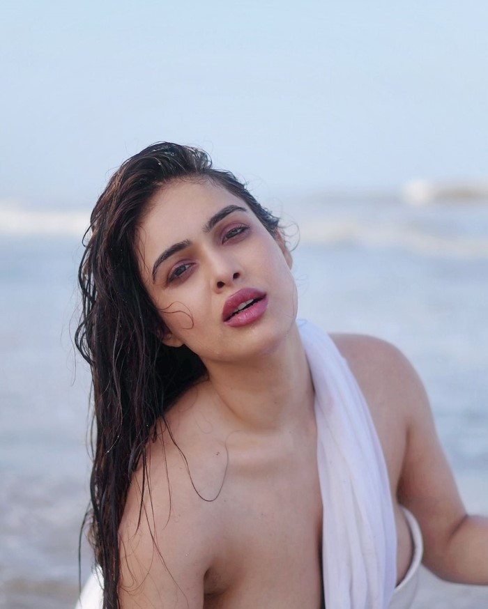 Initially choosing a career in modeling, Neha Malik later ventured into acting in Bollywood movies and music video songs.