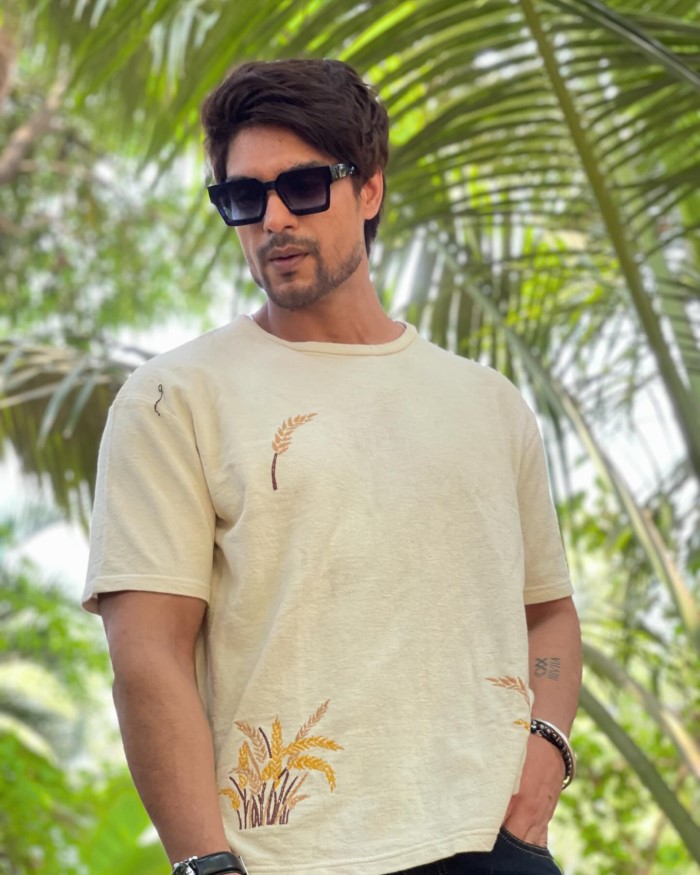 अंकित गुप्ता टीवी इंडस्ट्री के एक मशहूर अभिनेता है और आपको बता दें कि वह इस वक्त सीरियल माटी के बंधी डोर में नजर आ रहे हैं