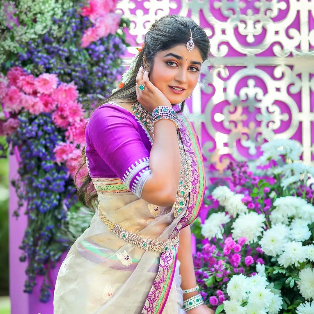 Dimple Hayathi saree photoshoot