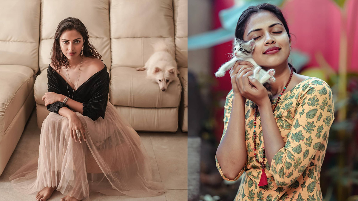 Amala is a passionate animal lover and has a dog named Jake along with several cats.