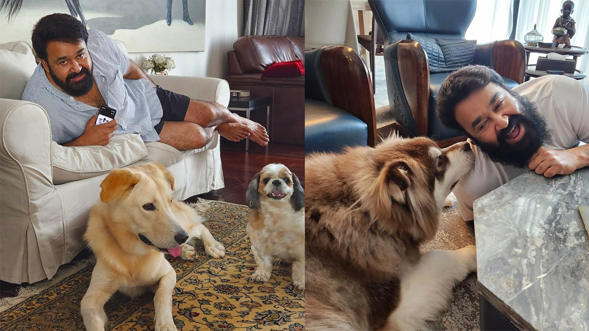 Mohanlal: The legendary actor has a dog named Bailey