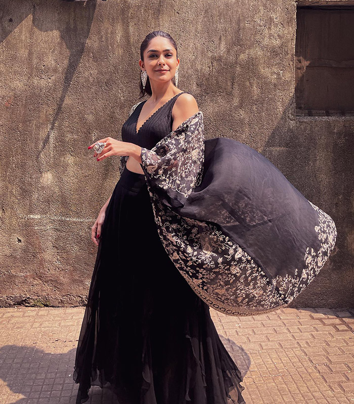 Mrunal started with TV shows and made her Hindi film debut in 2018 with “Love Sonia.”