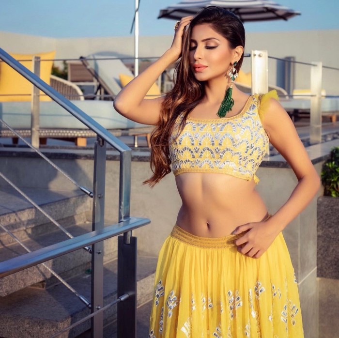 सना सुल्तान ने बताया कि उनका पहला रिलेशनशिप काफी सालों तक चला था और उनके एक्स बॉयफ्रेंड भी उन्हीं की तरह एक इनफ्लुएंसर था