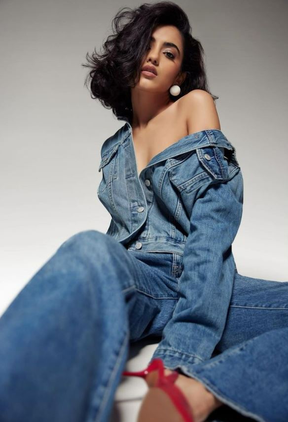 Tollywood Heroine Malvika Sharma Photoshoot