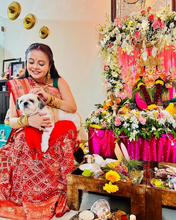 देवोलीना ने इस दौरान बताया कि वह किस तरीके से प्रेग्नेंट हुई। उन्होंने कहा कि 