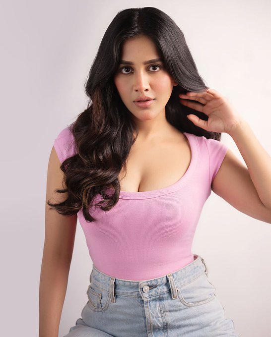 Nabha Natesh in her latest photoshoot, wearing a stylish pink top paired with blue jeans.