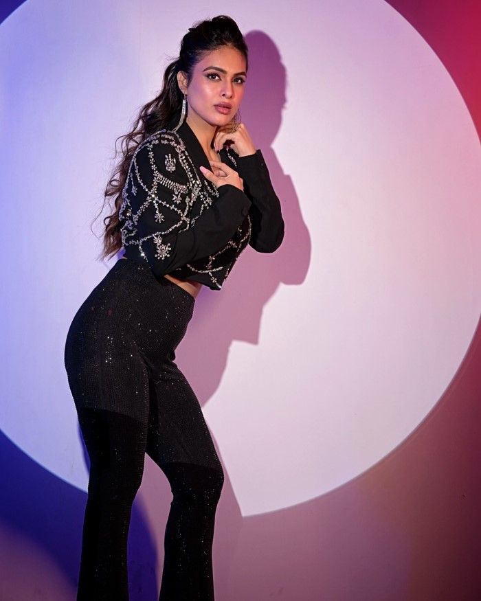 इन तस्वीरों के दौरान नेहा मलिक ने अपने बालों को पीछे की तरफ पोनीटेल बनाया हुआ है और काफी न्यूड मेकअप के साथ इस लुक को कंप्लीट किया है।