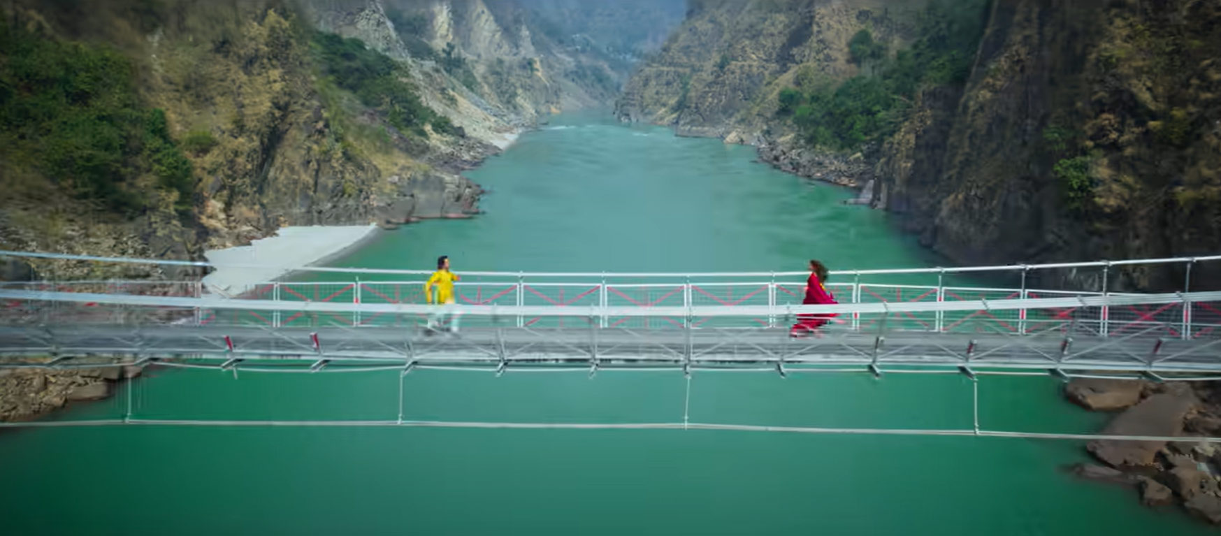 Vicky Vidya Ka Woh Wala Video