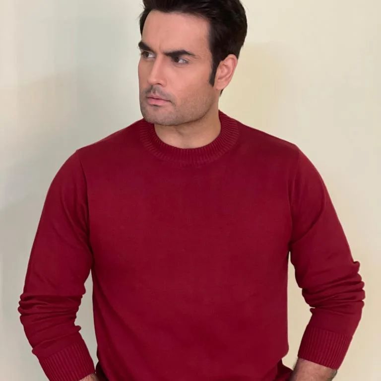 Bigg Boss 18 Hindi Contestant: Who Is Vivian Dsena? Lifestyle, Biography, Net worth, Photos, Girlfriend & More