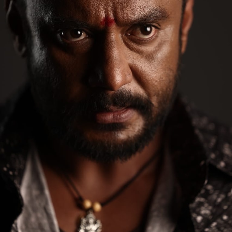 Renukaswamy Case & Bail: Involved in the Renukaswamy murder case, Darshan was granted interim bail by the Karnataka High Court.