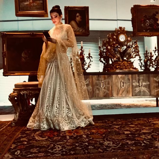 Shalini Pasi Luxurious House Has 14 Rooms with gold art work on walls Inside Photos