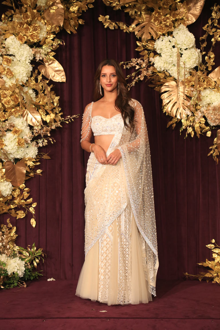 Triptii Dimri Steals The Spotlight With A Grand Entrance At Manish Malhotra's Diwali Bash