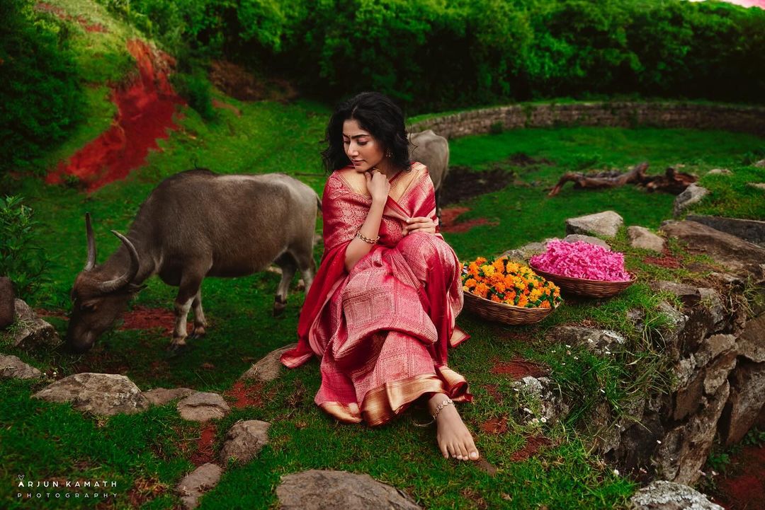 director Mani Ratnam stated that he is a big fan of actress Sai pallavi