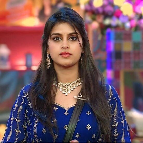 List of Eliminated Contestants from Bigg Boss Telugu 8