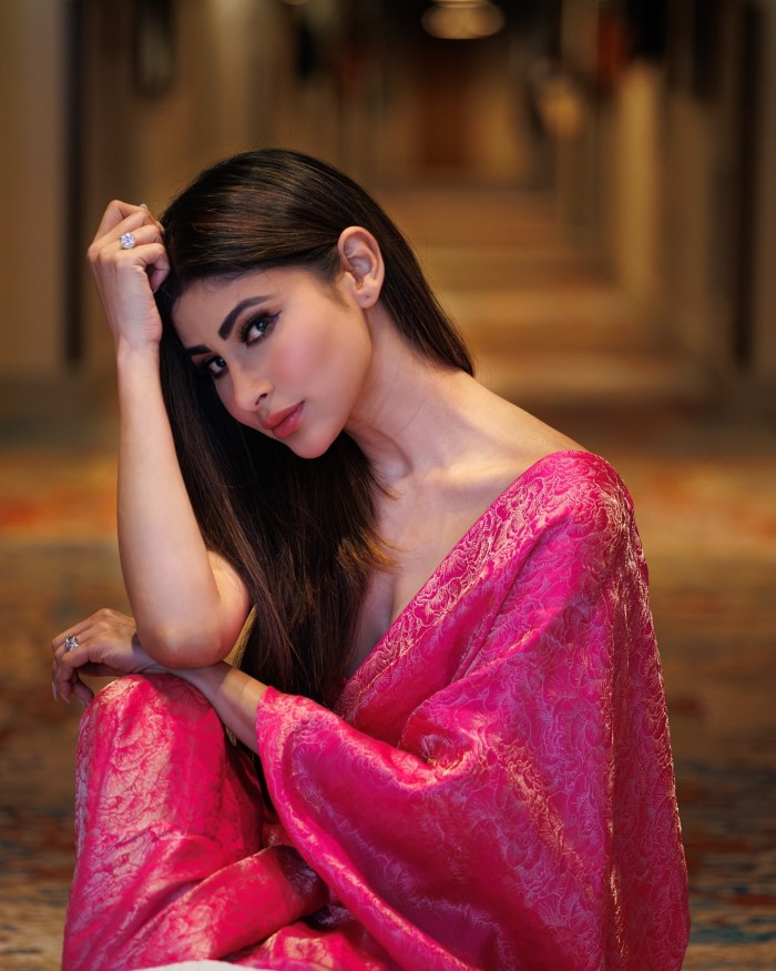 With her impeccable sense of style, Mouni Roy sets new fashion goals in her dazzling saree.