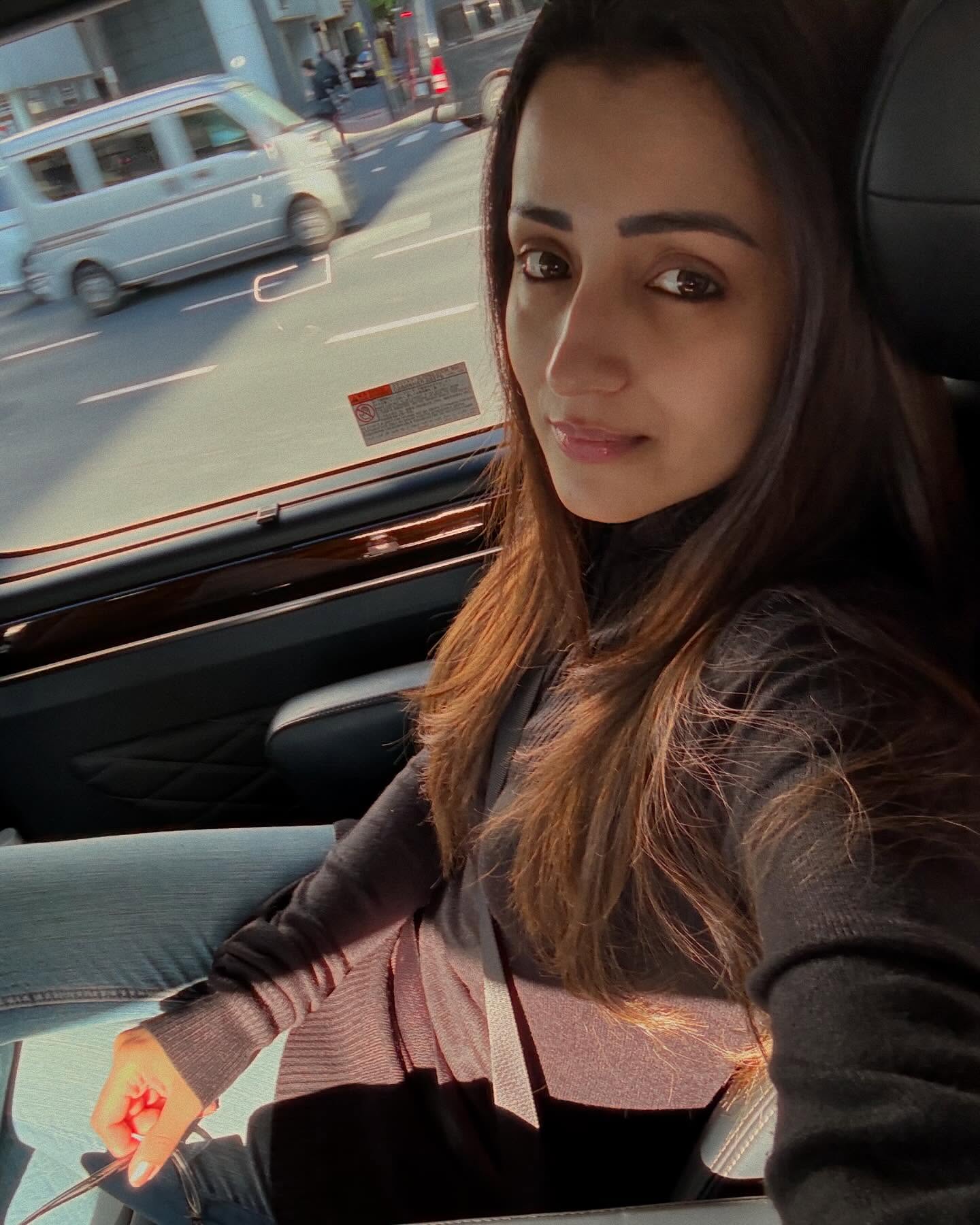 Trisha Krishnan: A veteran in the industry, Trisha Krishnan continues to be a prominent and respected figure in South Indian cinema.