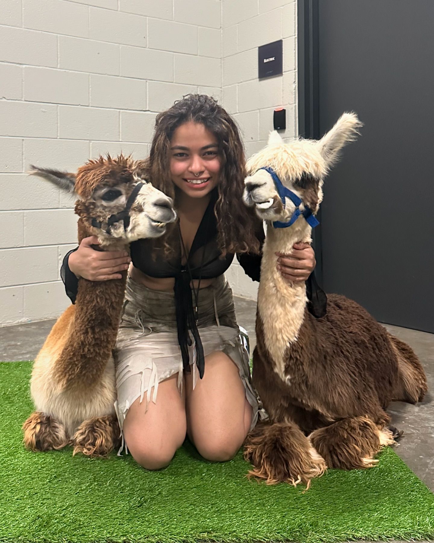 Mohini Dey ? Carrer, A.R. Rahman Bassist, Family & Lesser-Known Facts