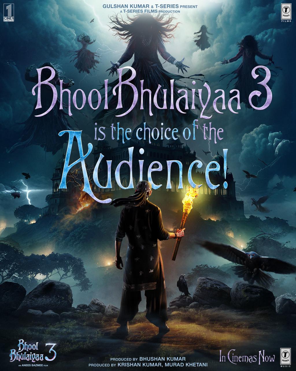 Bhool Bhulaiyaa 3 Closing Box Office Collection: Kartik Aaryan Starrer Horror-Comedy's Record-Breaking Final Tally