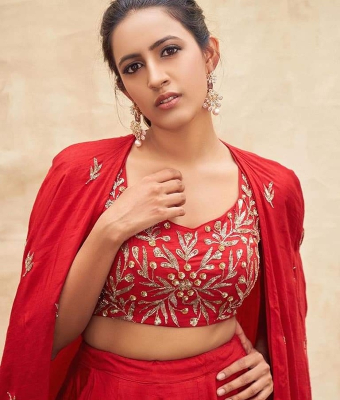 Is telugu actress Niharika Konidela's second marriage on cards