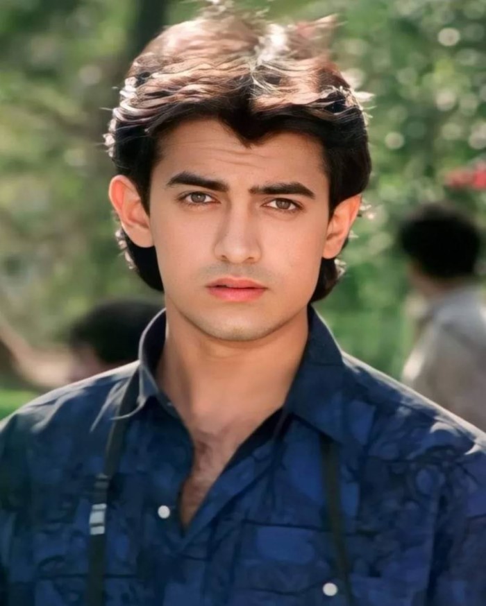 आमिर खान बॉलीवुड के दिग्गज अभिनेता है और वह बॉलीवुड को दंगल जैसी 2000 करोड़ से भी ज्यादा कमाई करने वाली फिल्म दे चुके हैं। इसके बावजूद भी वह सोशल मीडिया इस्तेमाल नहीं करते। एक इंटरव्यू के दौरान इस पर उन्होंने बात भी की थी और कहा था कि वह मोबाइल से दूरी बनाने की कोशिश करते हैं और इससे उनको सोने का भी अच्छे से टाइम मिल जाता है।