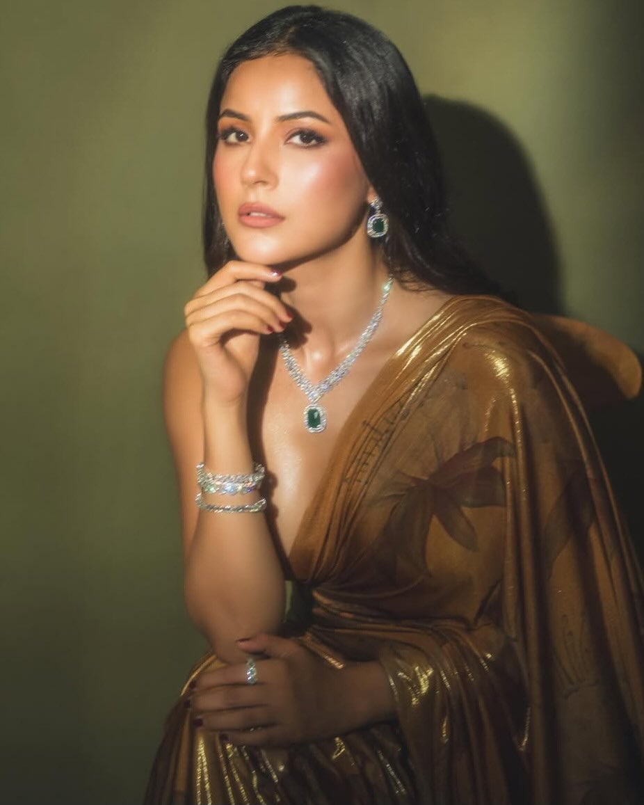 Shehnaaz Gill donned a beautiful brown saree adorned with intricate flower designs.