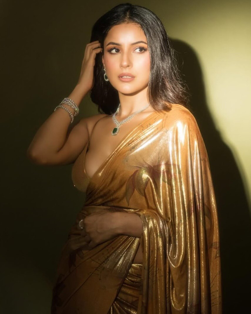 Shehnaaz Gill donned a beautiful brown saree adorned with intricate flower designs.