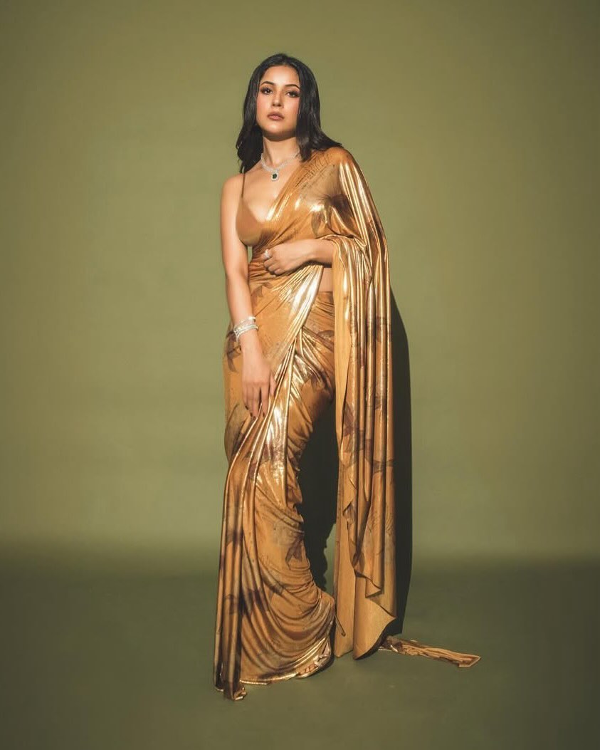 Shehnaaz Gill donned a beautiful brown saree adorned with intricate flower designs.
