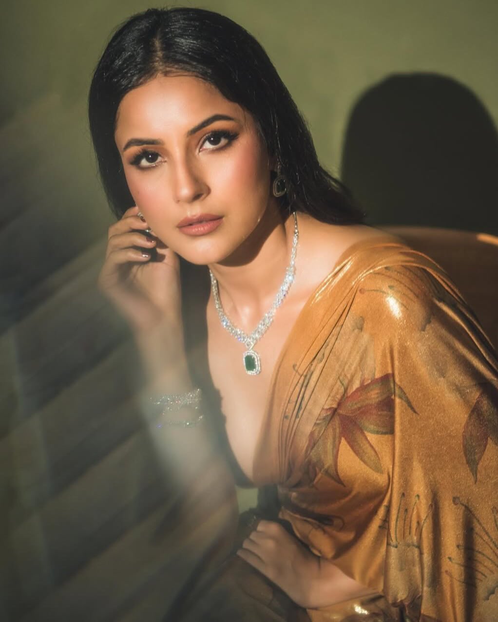 Shehnaaz Gill donned a beautiful brown saree adorned with intricate flower designs.