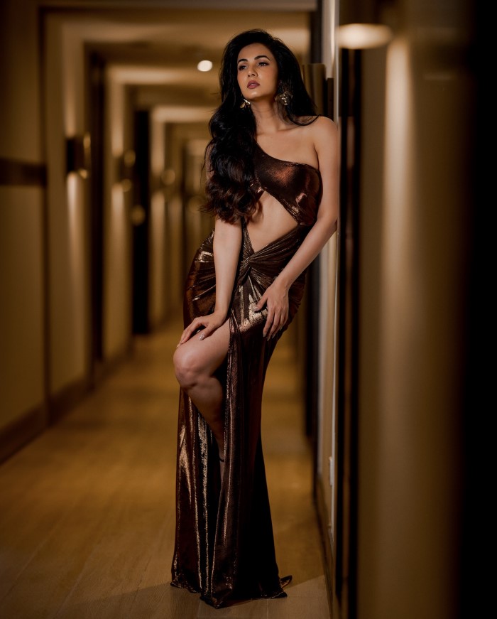 Sonal Chauhan dazzled in a metallic brown gown that perfectly highlighted her elegant and glamorous style.
