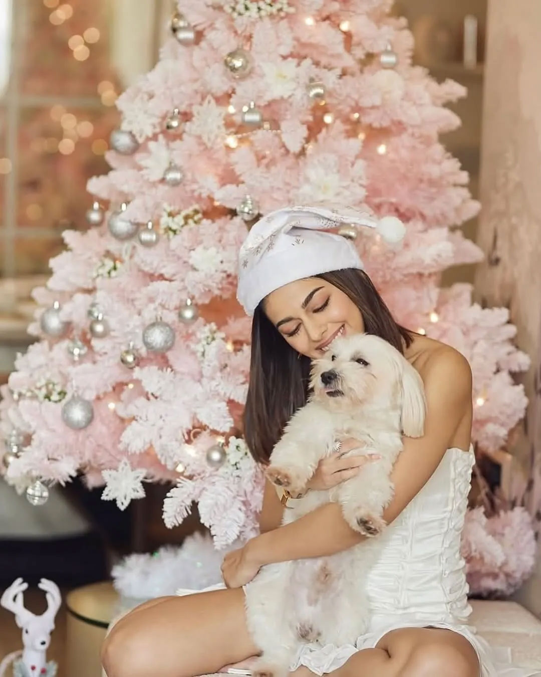 Viral Christmas 2024: Bollywood Celebrities' Festive Celebrations That Everyone’s Talking About