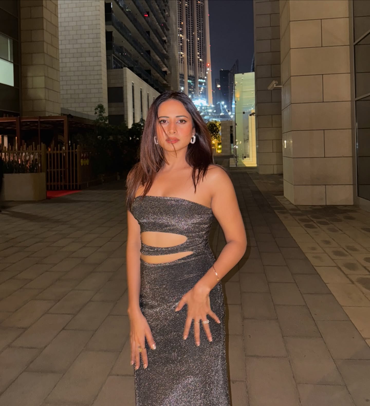 Sargun Mehta Dubey's career took off with her engaging performance in 