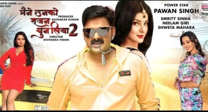 मैंने उनको सजन चुन लिया फिल्म में पवन सिंह और काजल राघवानी की बेहतरीन जोड़ी देखने को मिली थी