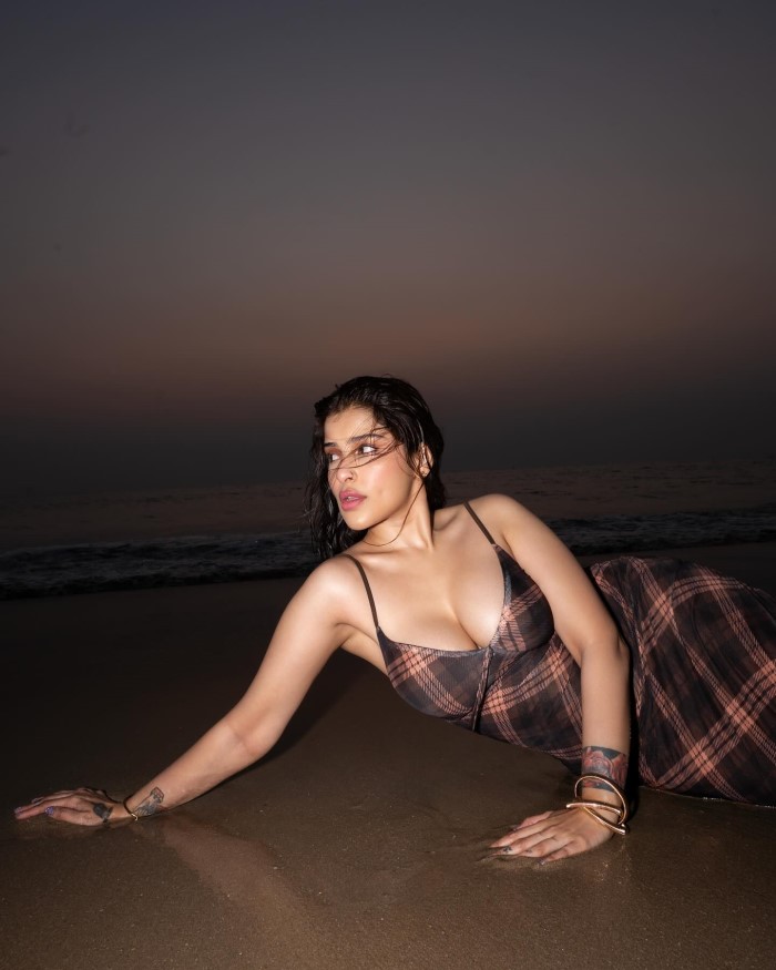 Bigg Boss 18 Fame Edin Rose's Stunning Look Captured At Golden Hour On The Beach