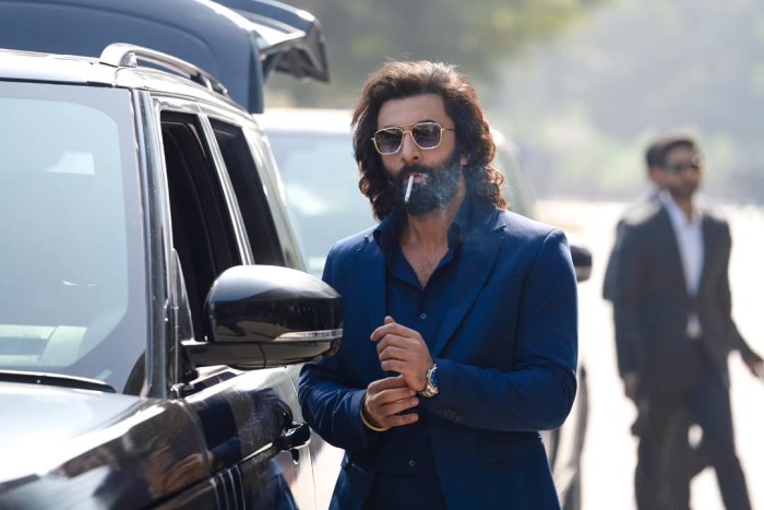 Ranbir Kapoor's Upcoming Movies: Exciting Releases To Look Forward To