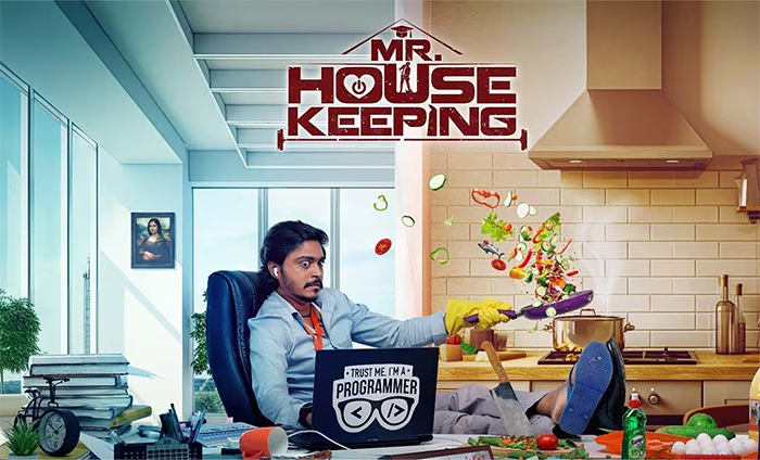 Mr. Housekeeping