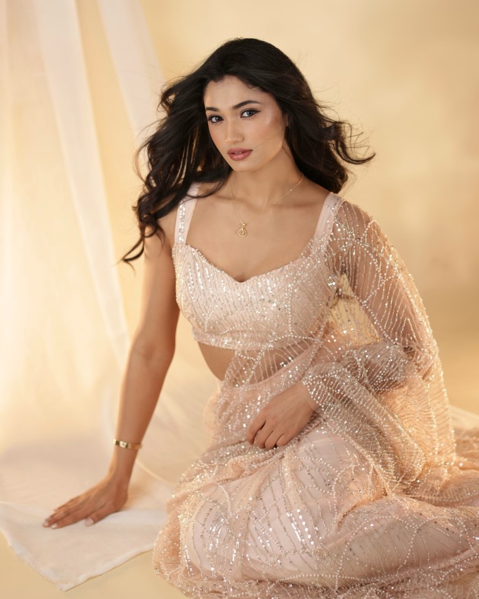 Reeshma Nanaiah's Elegant Saree Look