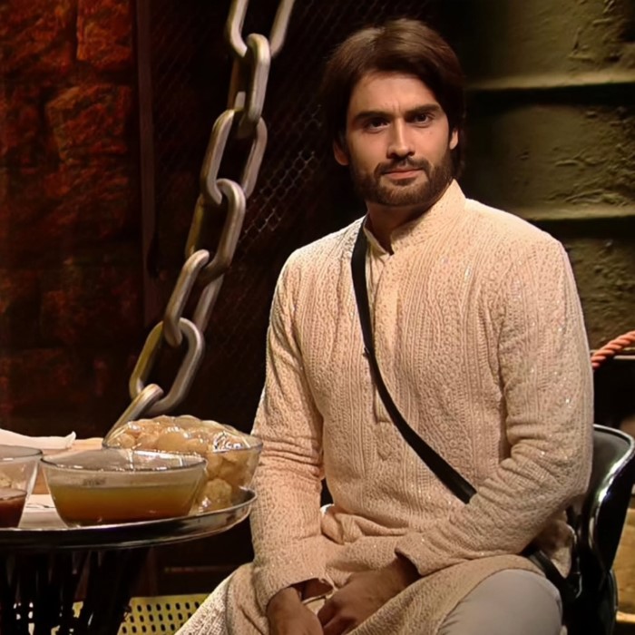 Vivian Dsena: Bigg Boss Hindi Season 18 Contestant And Talented TV Actor