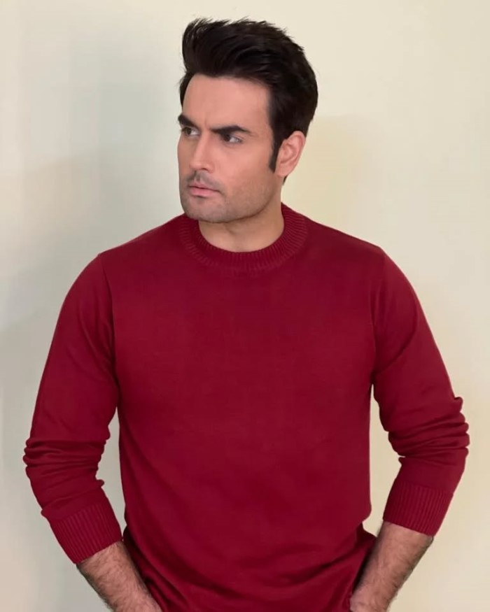 Vivian Dsena: Bigg Boss Hindi Season 18 Contestant And Talented TV Actor