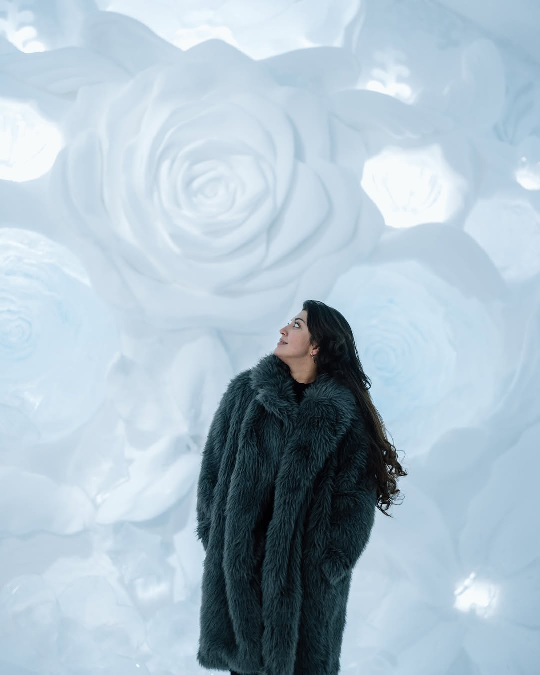 Actress Pranitha Subhash in Jukkasjärvi's Ice Hotel Inside photos is trending