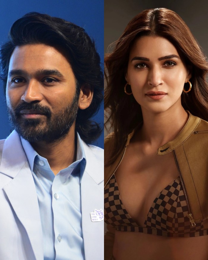 Kriti Sanon & Dhanush - Tere Ishk Mein