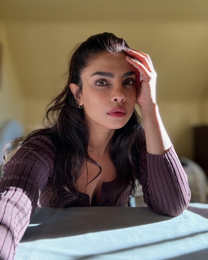 प्रियंका चोपड़ा बॉलीवुड की देसी गर्ल मानी जाती है और आपको बता दे कि उन्होंने हॉलीवुड फिल्मों से लेकर सीरीज में खूब काम किया।