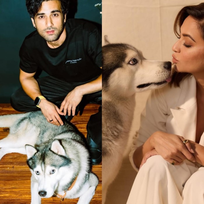 Kriti Kharbanda and Pulkit Samrat with Drogo